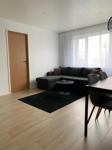 Apartment Riia Mnt 88
