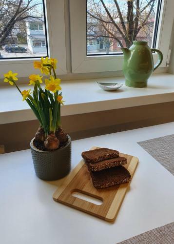 Apartamento New-khruschovka
