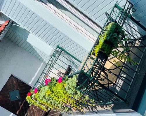 Apartamento R��tli Residents