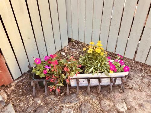 Cozy Roosi Guest Apartment 3, Free Parking