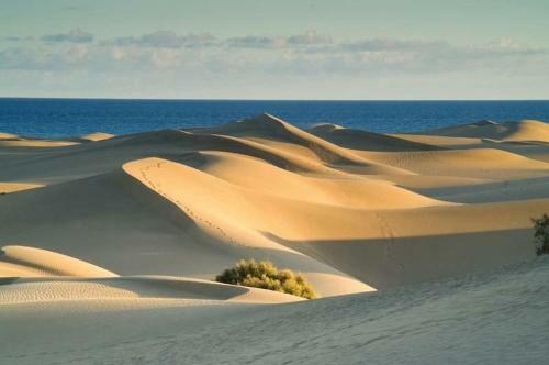 Apartamento Teror Playa