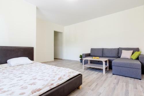 Tallinn City Centre Apartment