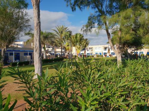 Apartamentos Playa Feliz