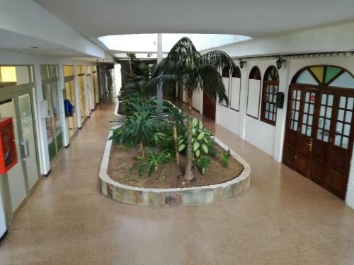 Apartamento 5 Min Walk From Yumbo 216