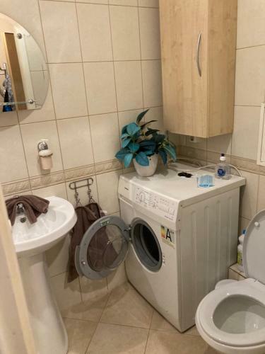 Apartamento Find For The Traveler