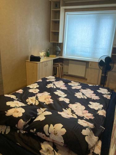 Apartamento Find For The Traveler