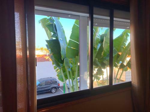 Yumbo/iguazu Apartment, "zen" Style