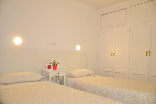 Las Camelias Apartments - B14