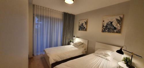 Apartamento City Premium
