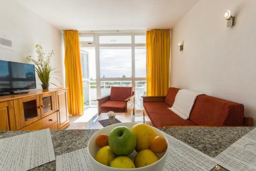 Seaview Friendly Apartment