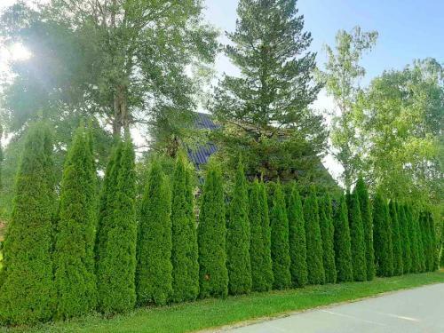 Ares Apartman Zlatibor