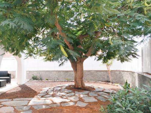 Pretty Terrace House In Maspalomas