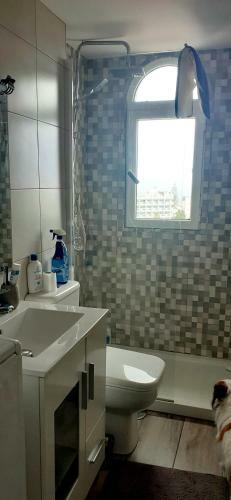 Apartamento Green P. Playa Del Ingles