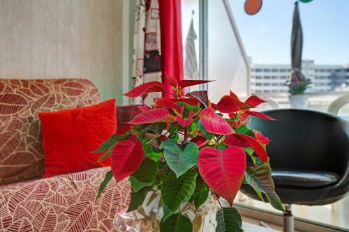 Apartamento Be Room Elefantes