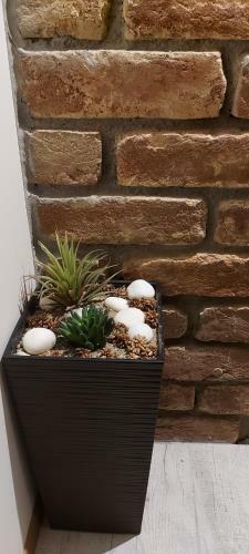 Apartman - Studio Devet