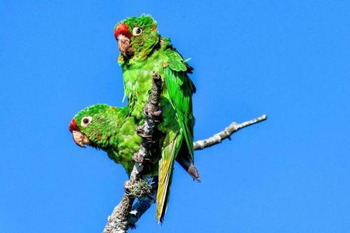 Dream Villa, Ocean View & Pool!