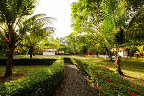 Quinta Anamaya