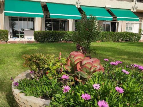 Apartamento Sunrise Studio Marilyn, Vista Mar Y Jard�n