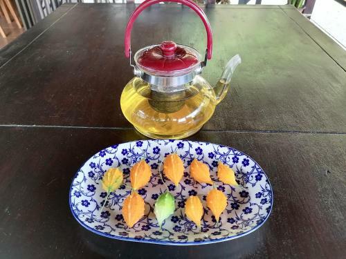 Bed & Breakfast La Ceiba Tree Lodge