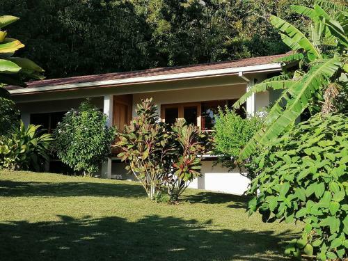 Bed & Breakfast La Ceiba Tree Lodge