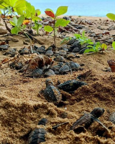 Apartamento Caribbean View