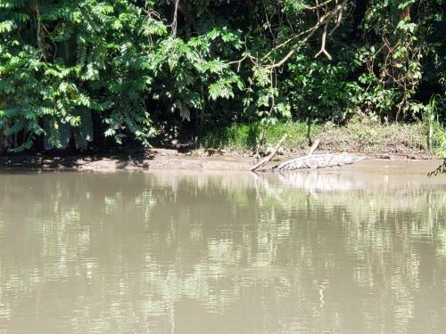 Hostal Casa Thirema Tortuguero