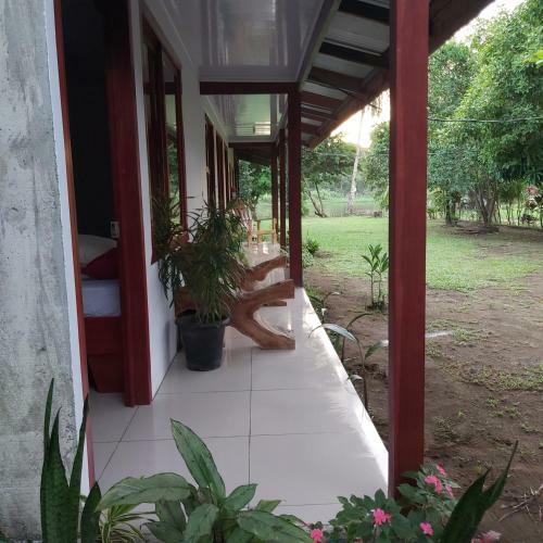 Posada Caba�as Daneysha Tortuguero