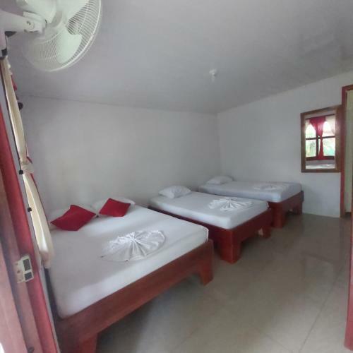 Posada Caba�as Daneysha Tortuguero