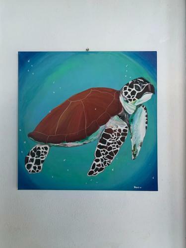 Apartamento Riverland Turtle House