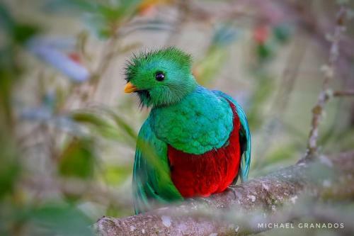 Apartamento Vista El Cerro Cabina Sangerardo