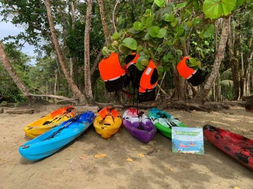 Beachfront Apartment Punta Uva