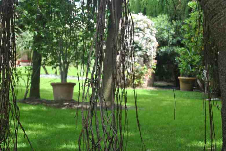 Hotel Mercure Benidorm