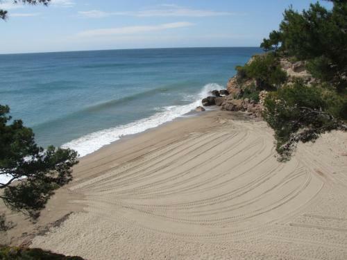 Villa Alfonso