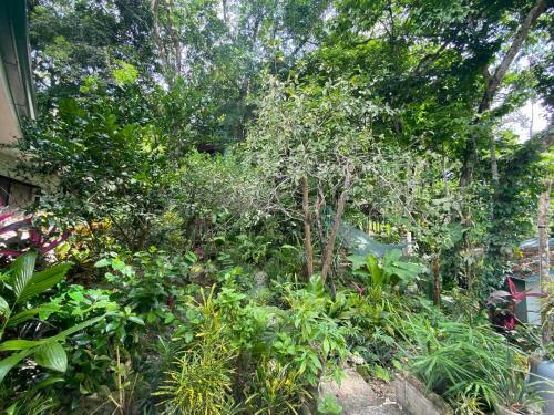 Bed & Breakfast La Monta�ita Lodge