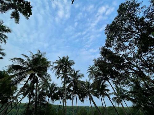 Cheerful 2 Bed Place In Kundapura