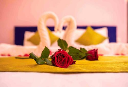 Hostal Colours Fly Guest House