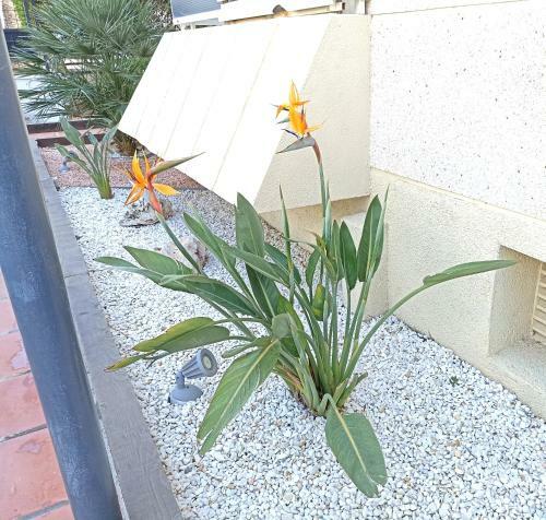 Apartamento Villa Adriana 202a
