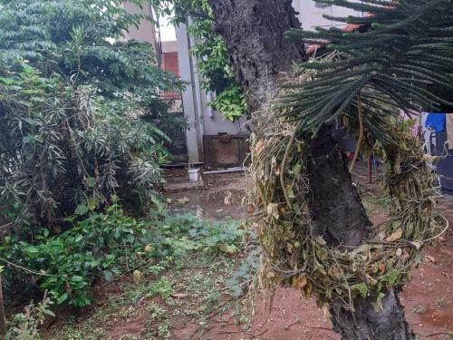 Albergue Agsara Home Stay