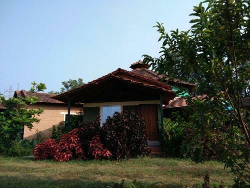 Dandeli Packages