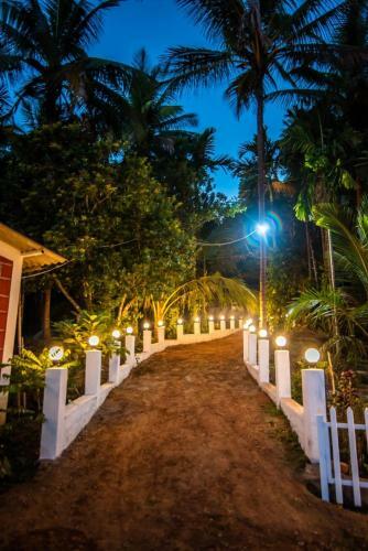 Dandeli Packages