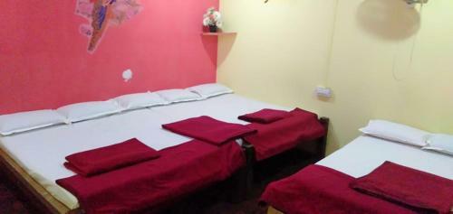 Dandeli Jungle Homestay