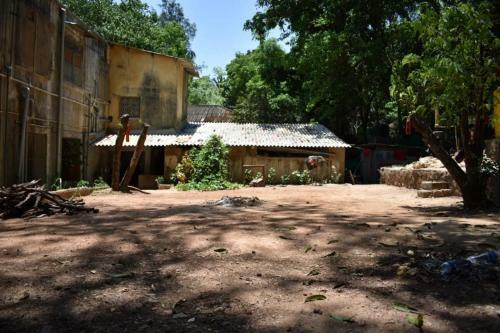 Dandeli Jungle Homestay