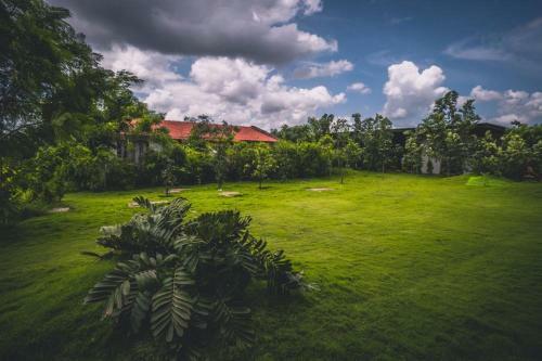 Drm Jungle Recidency