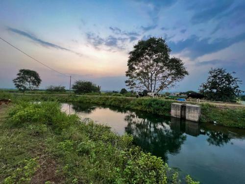 Esha Farm,s