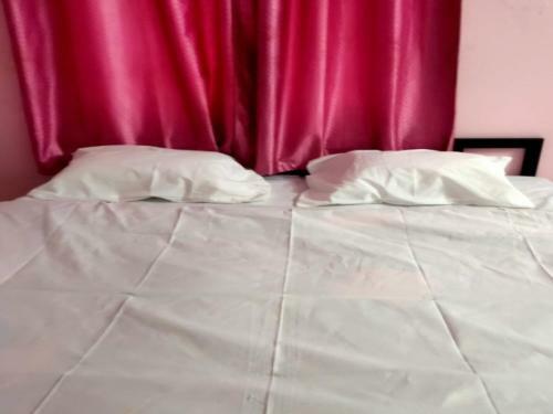 Hotel Spot On 81321 Convival Budget Stay