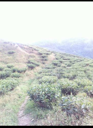 Agroturismo Joe's Farm