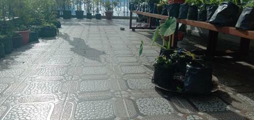Rise N Shine Homestay