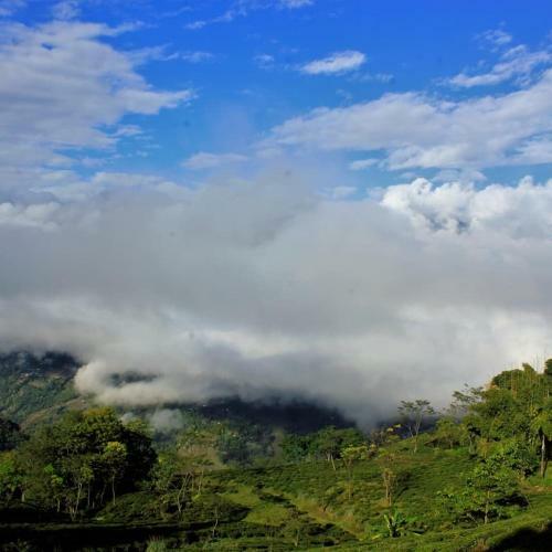 Travellers Homestay-offbeat Destination