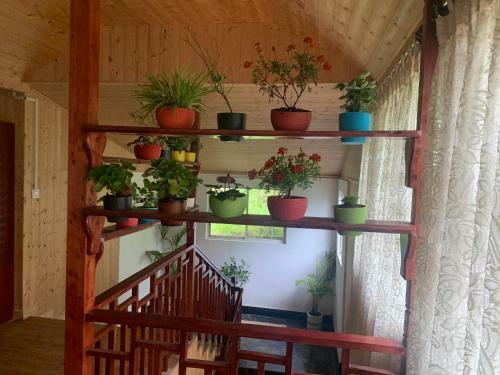 Lamahatta Village Resort