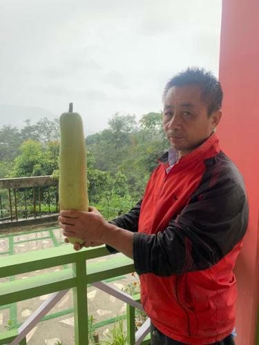 Lamahatta Village Resort